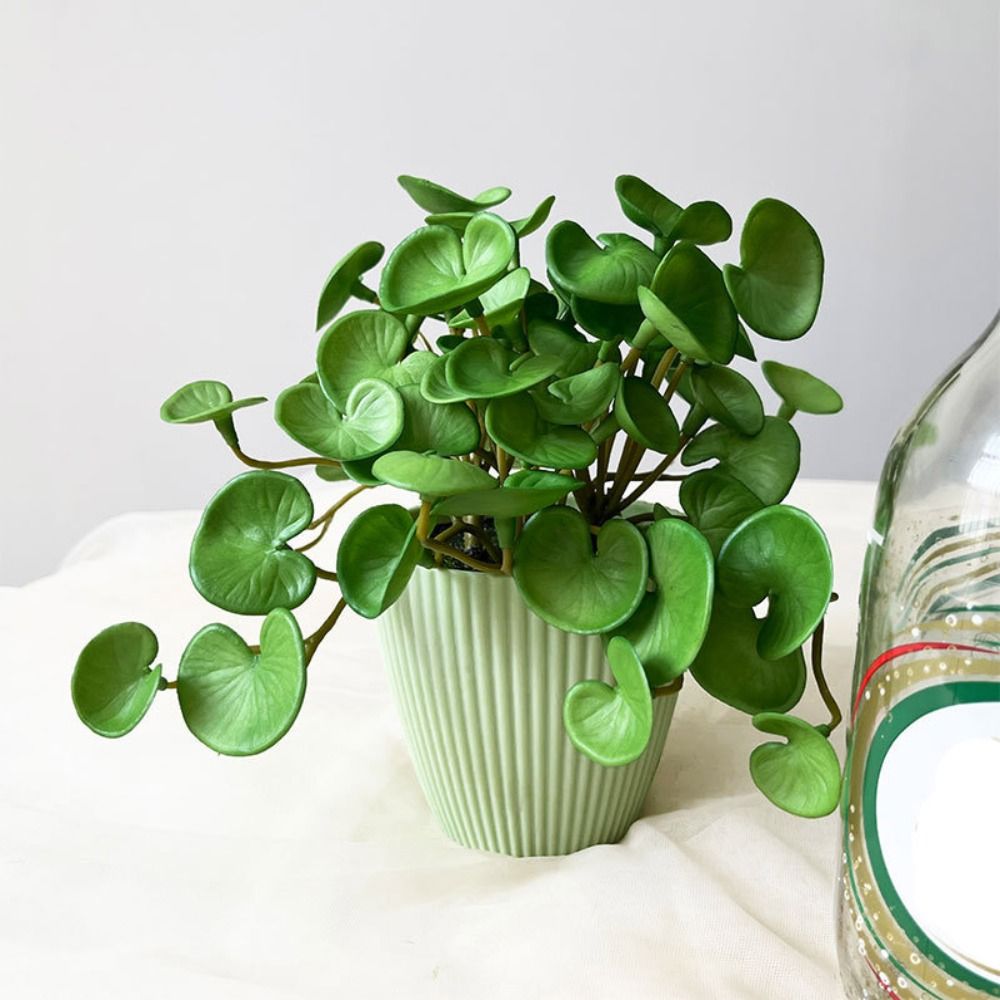 Soft Glue Artificial Plant EVA - Interior Design Office recension och pris
