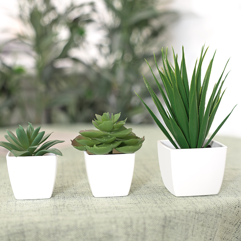 3PCS Artificial Evergreen Plan - Interior Design Office recension och pris